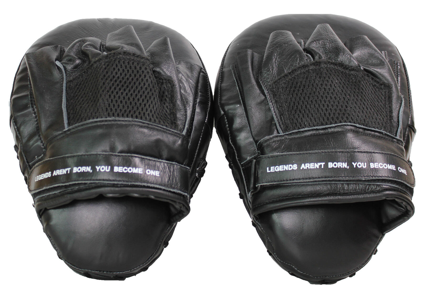 Bersagli allenamento pugilato Focus Mitts Fender 2/4