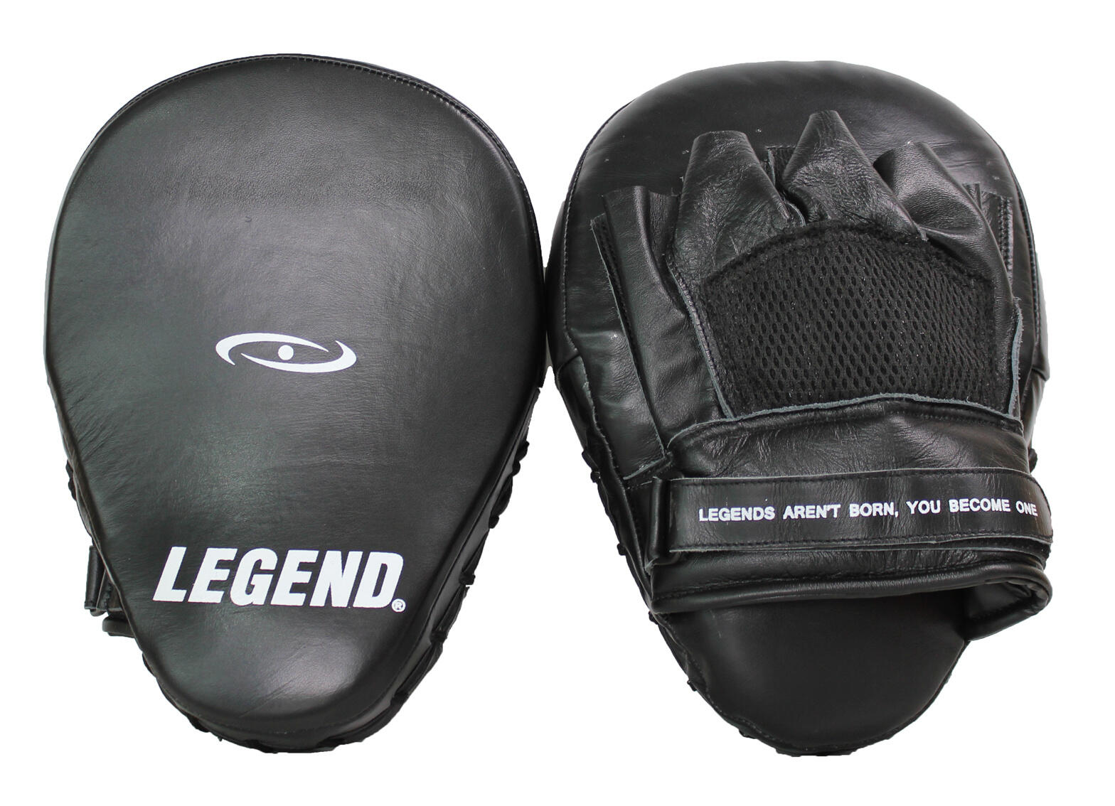 Bersagli allenamento pugilato Focus Mitts Fender 4/4