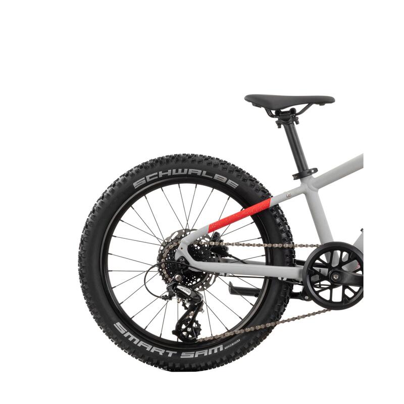 Bicicleta Copii Raymon Yanga 20 Pro 2025 - 20 Inch, Gri - Altus