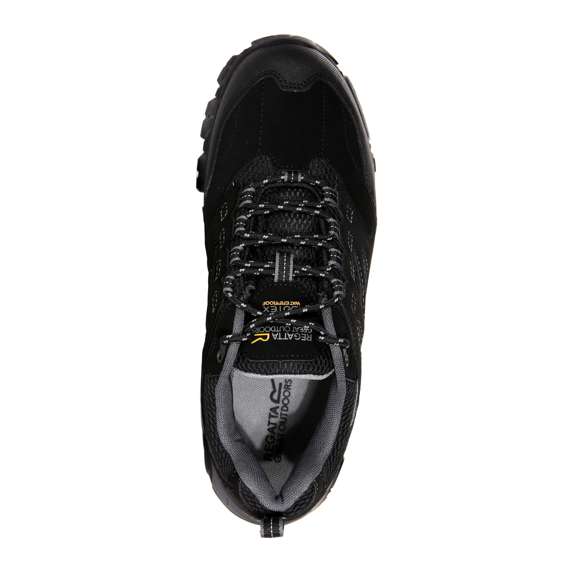 Schoenen Heren Waterdicht Ademend Holcombe Low 6/6