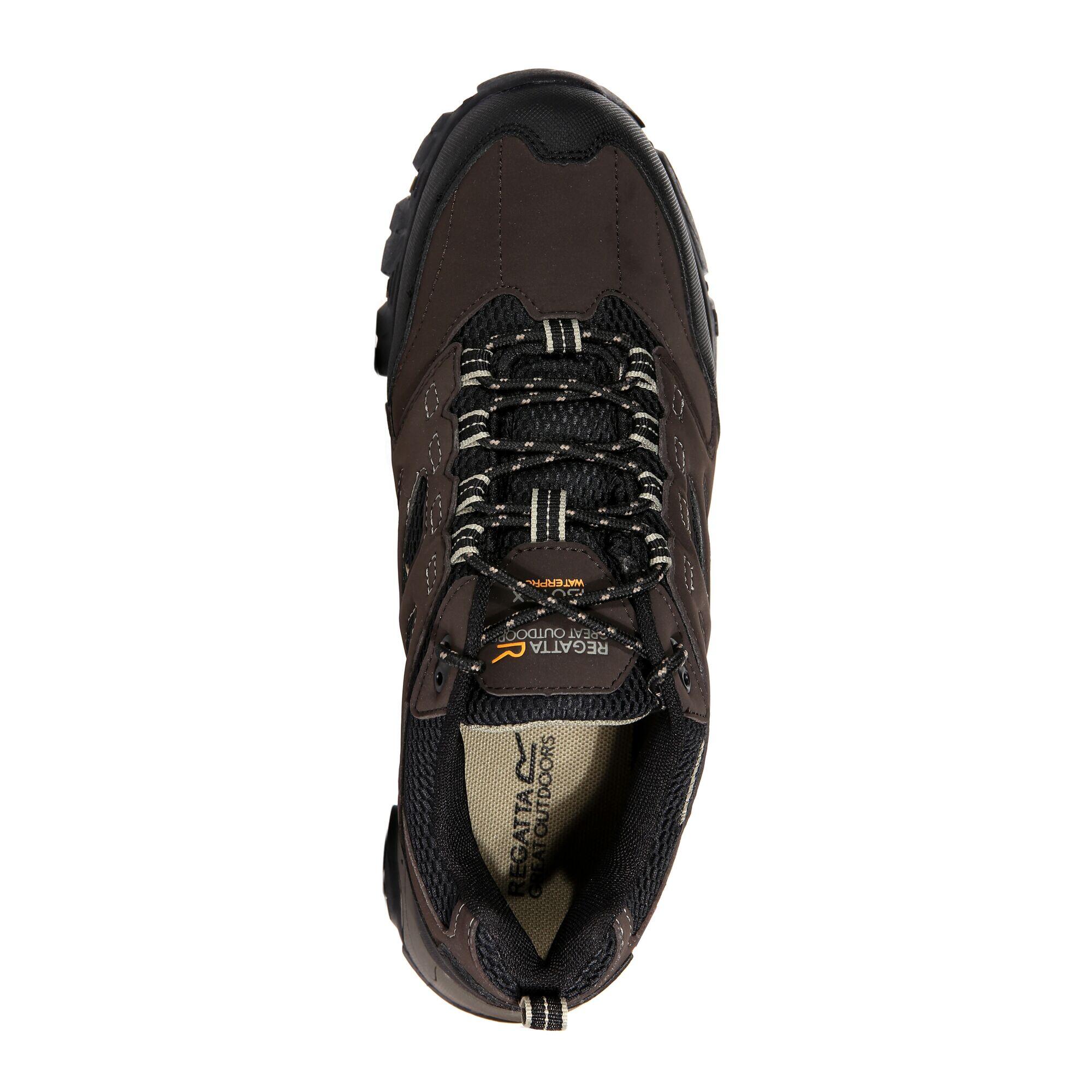 Chaussures de randonnée - Holcombe Low homme 6/6