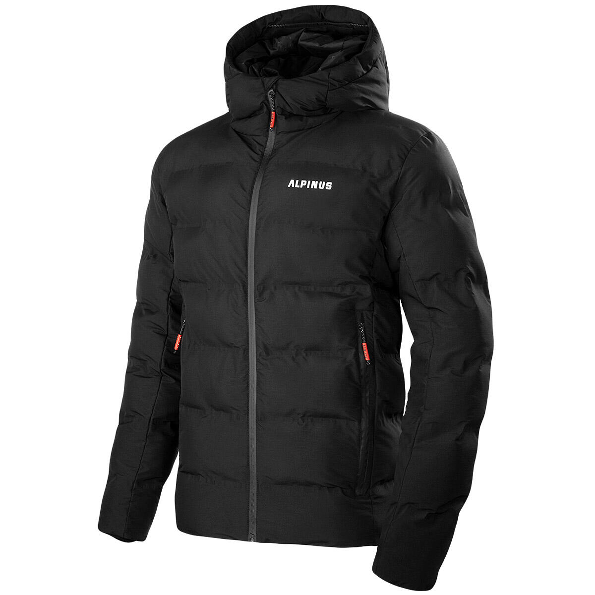 ALPINUS picture
