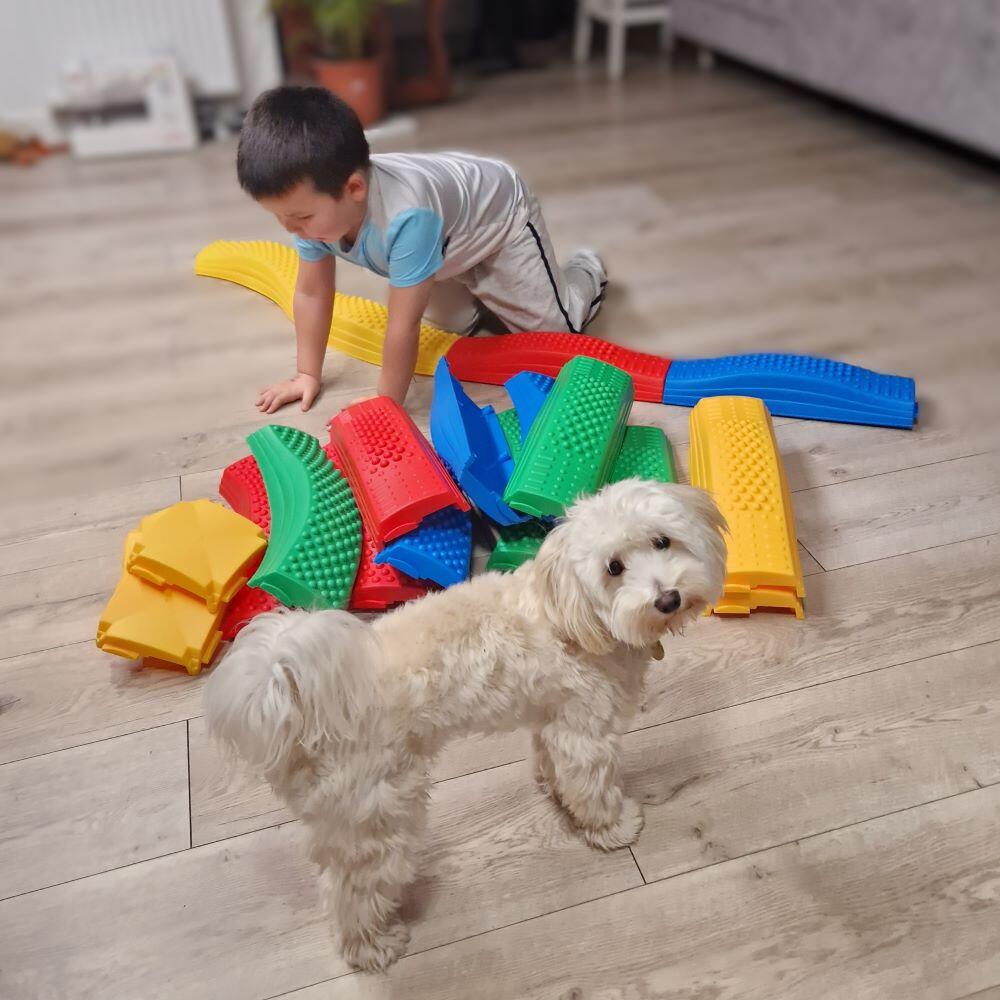 Kinderen Sport Sensorisch Balanspad 20-delig Single veelkleurig 6/7