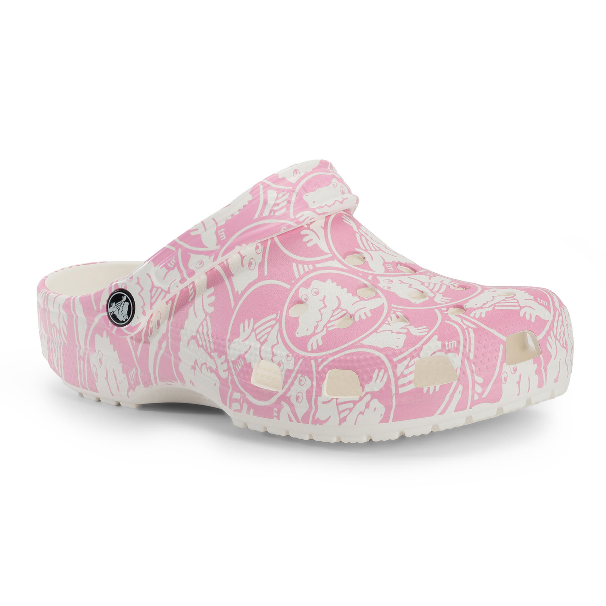 CROCS picture