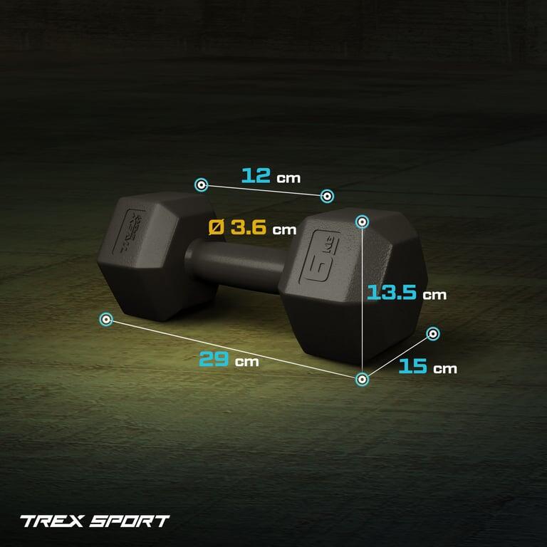 Set de mancuernas hexagonales Trex Sport 2x6 kg para fitness 6/7