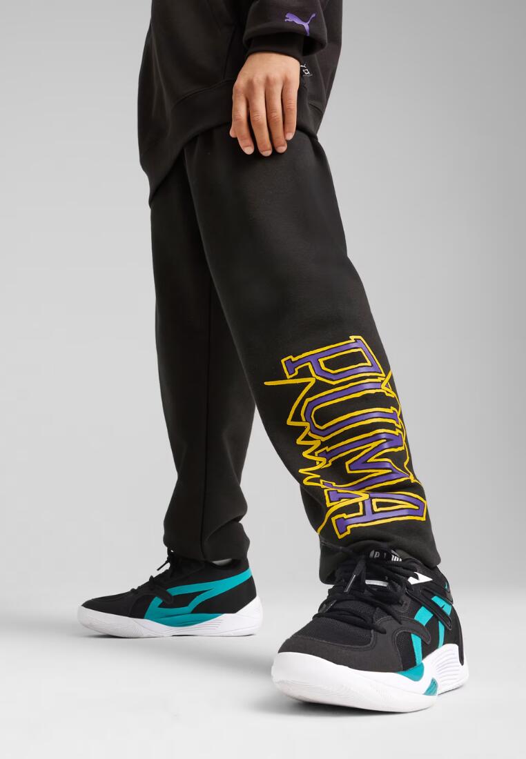 PUMA picture
