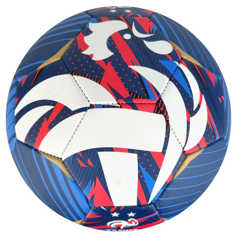 Minge de Fotbal France 5