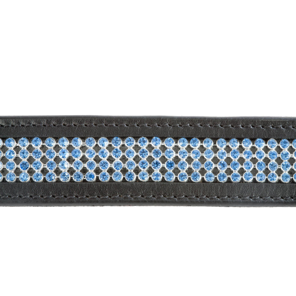 Skórzany pasek USG Princess