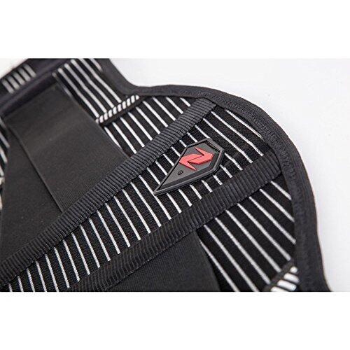 Ceinture élastique pour le soutien lombaire Zandona Comfort Pro 4/4