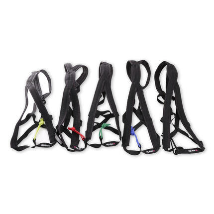 Hundegeschirr Martin Sellier Canicross Xback