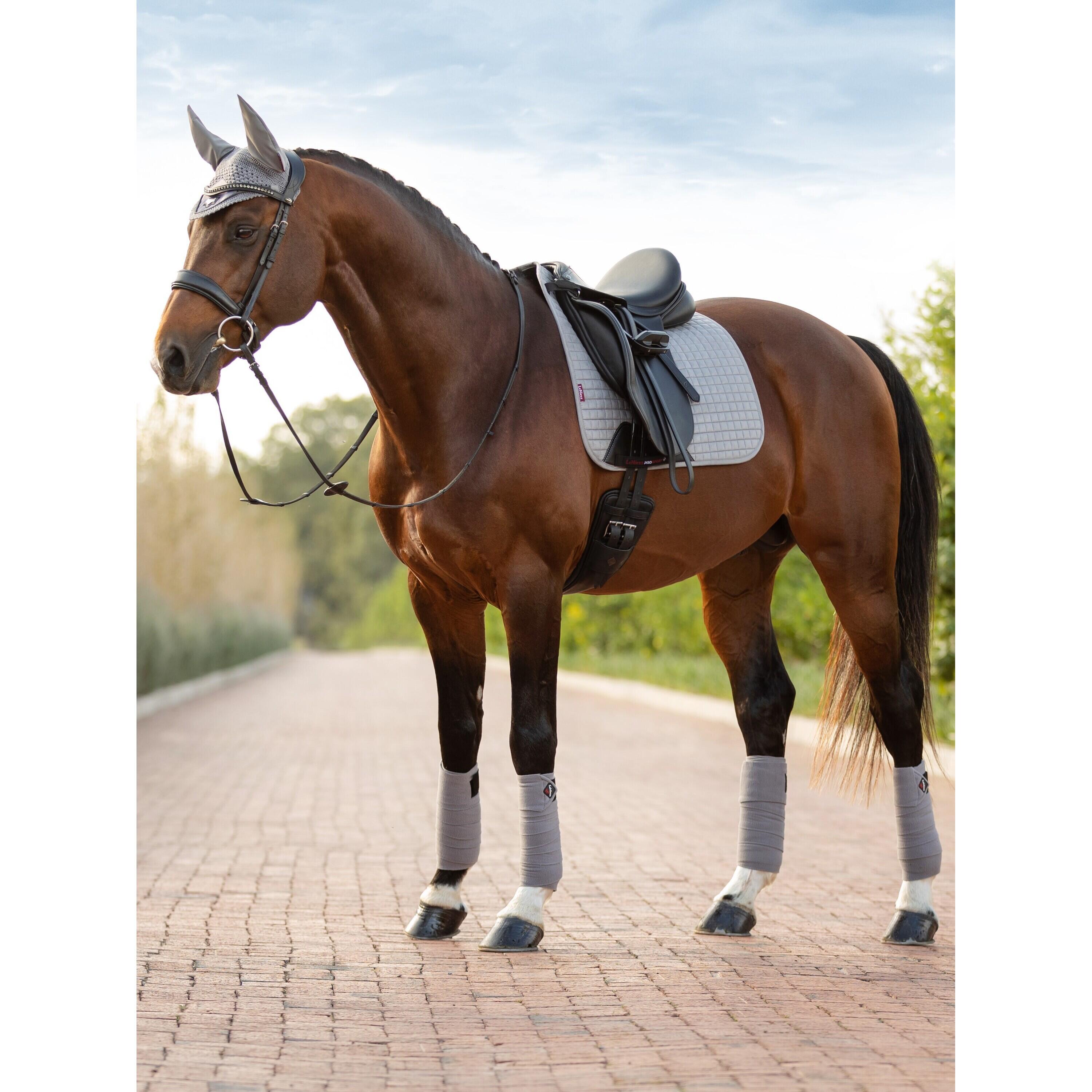 Paardenpolobanden LeMieux Classic 2/2