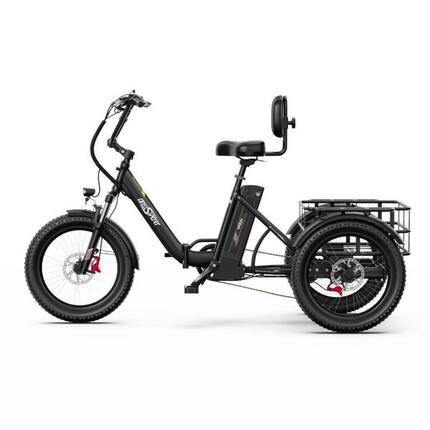 ONESPORT OT30 PRO elektrische driewieler - 500W 48V 18AH schijfremmen - zwart