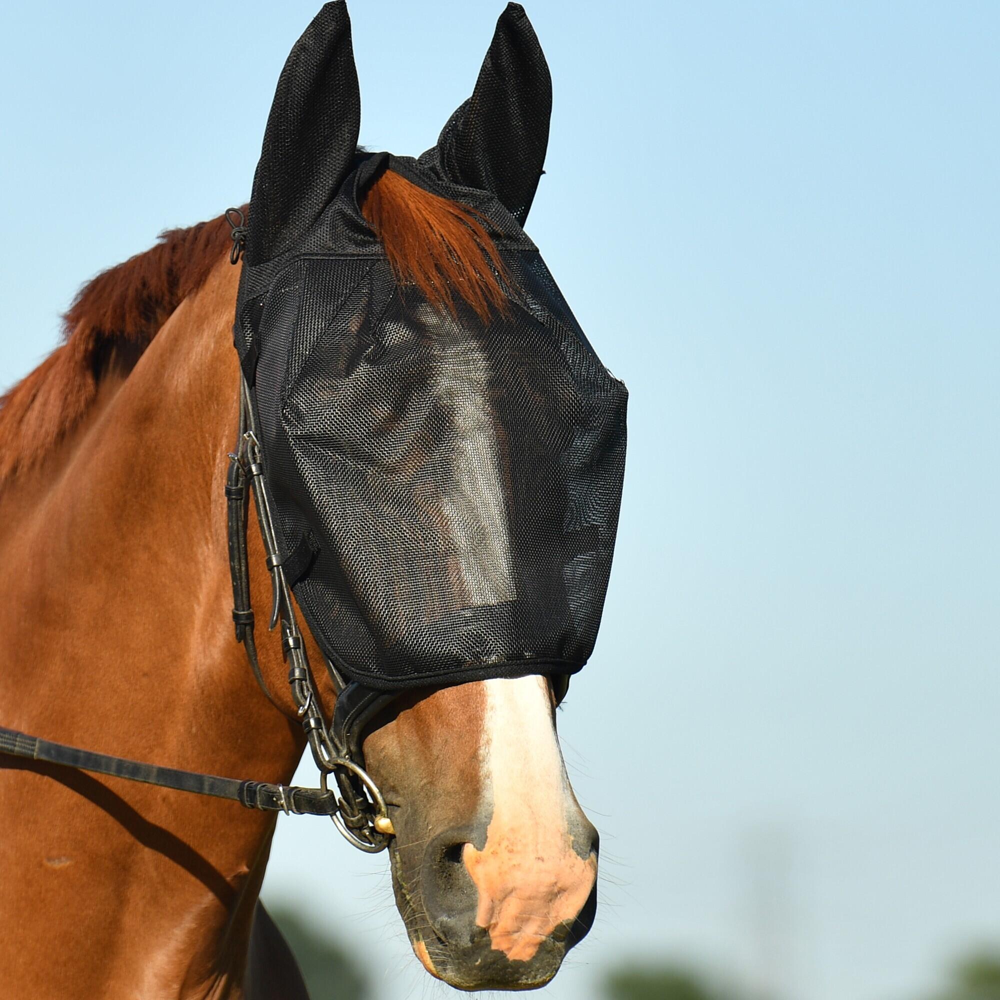 Vliegendek voor paard Equilibrium 1/2