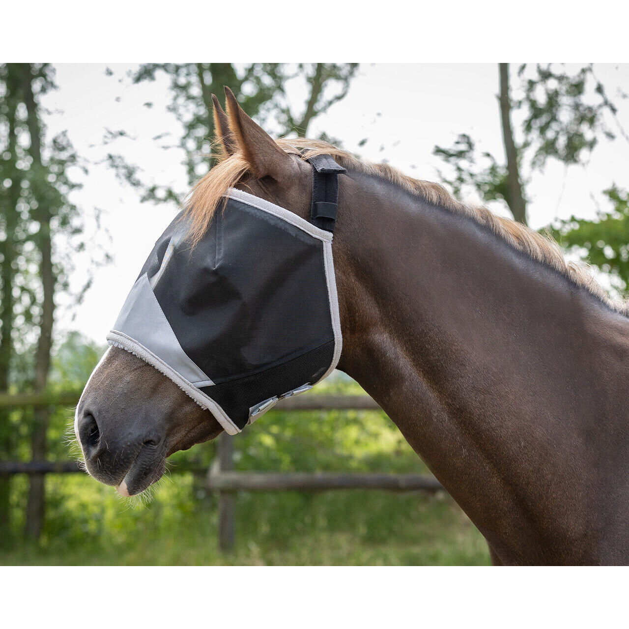 Qhp - Bonnet Anti-mouches Pour Poney Sans Oreilles Qhp Solaire - Bonnet Cheval - Gris - Ps - Decathlon