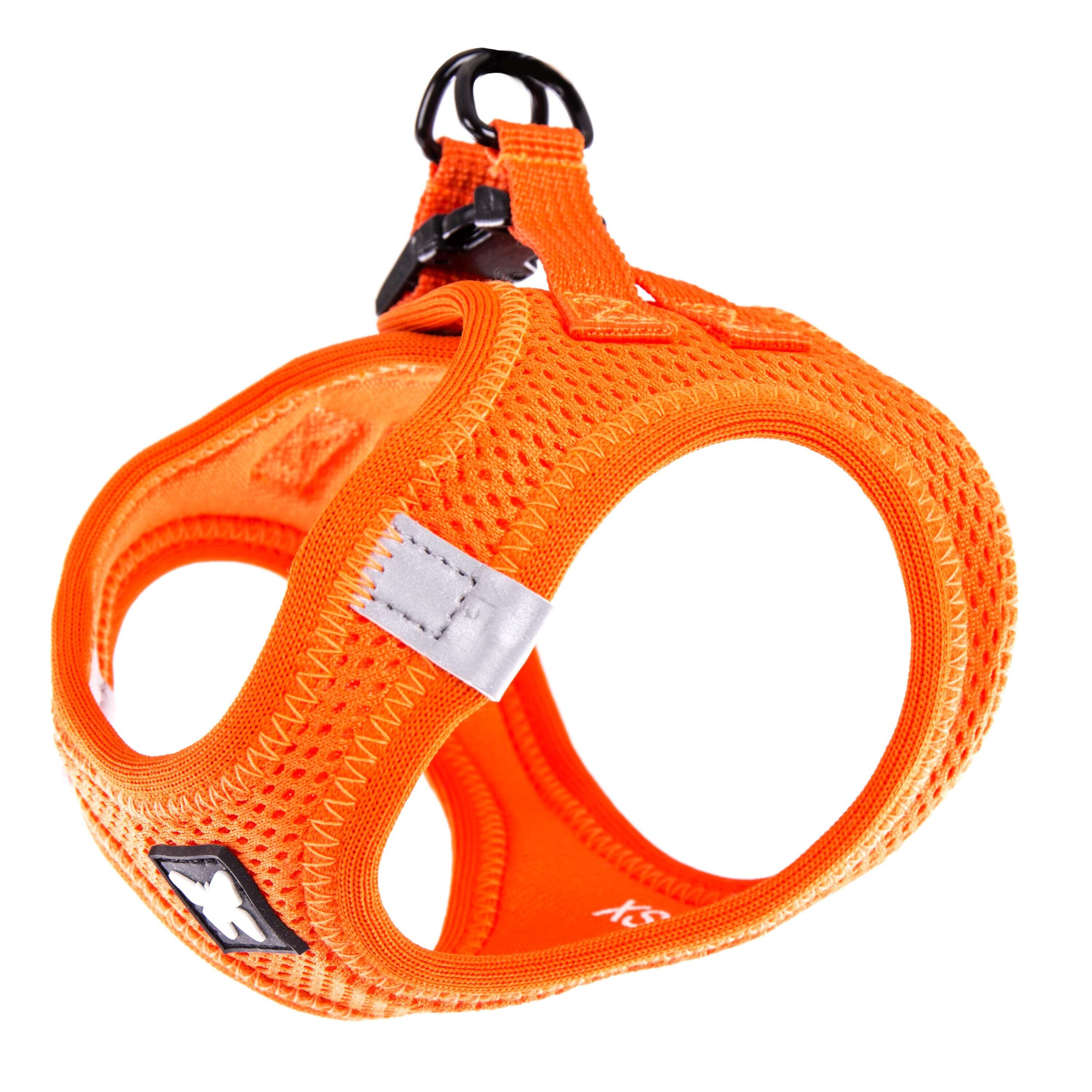 Harnais en maille pour chien Martin Sellier 2/4