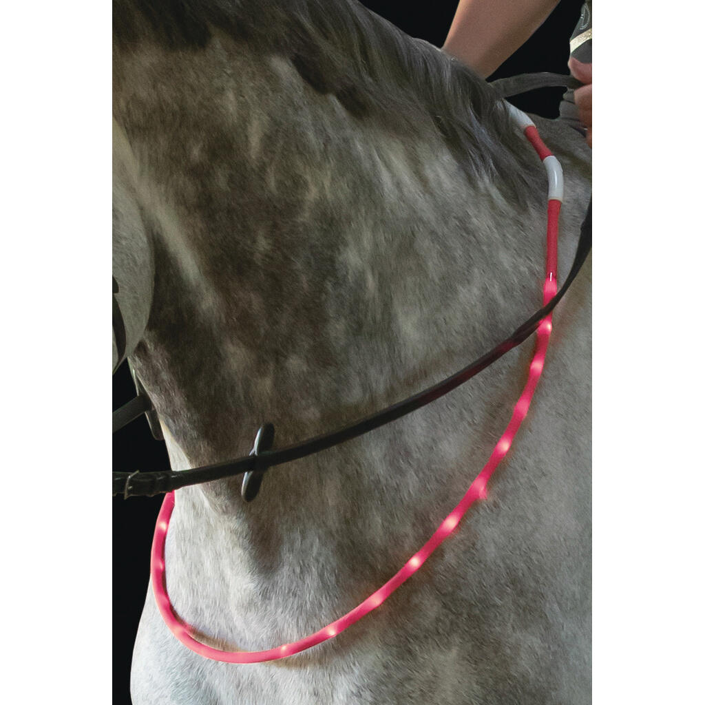 Collier pour cheval LED USG 2/2