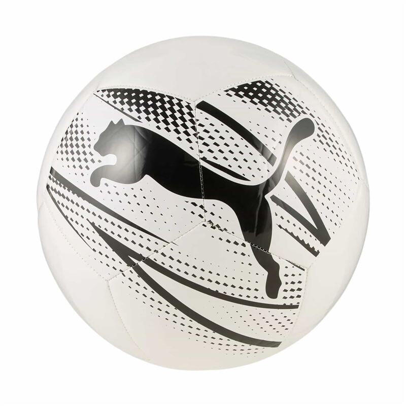 PUMA picture