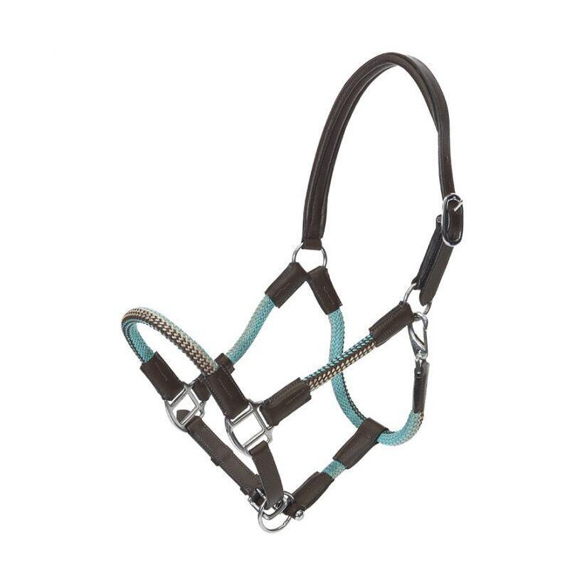 Halter for horse in reins Kavalkade Cavo