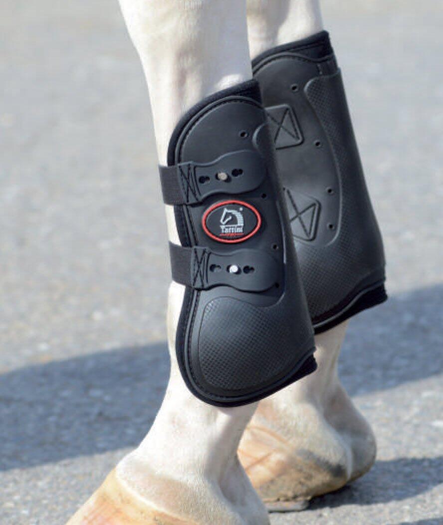 Stinchiere per cavalli aperte in neoprene + ganci Tattini Pro 2/3