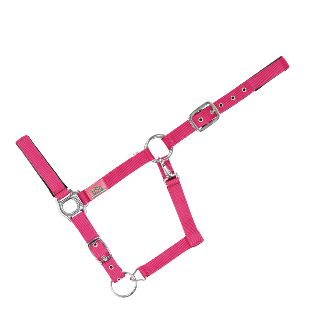 rosa / rosa fucsia