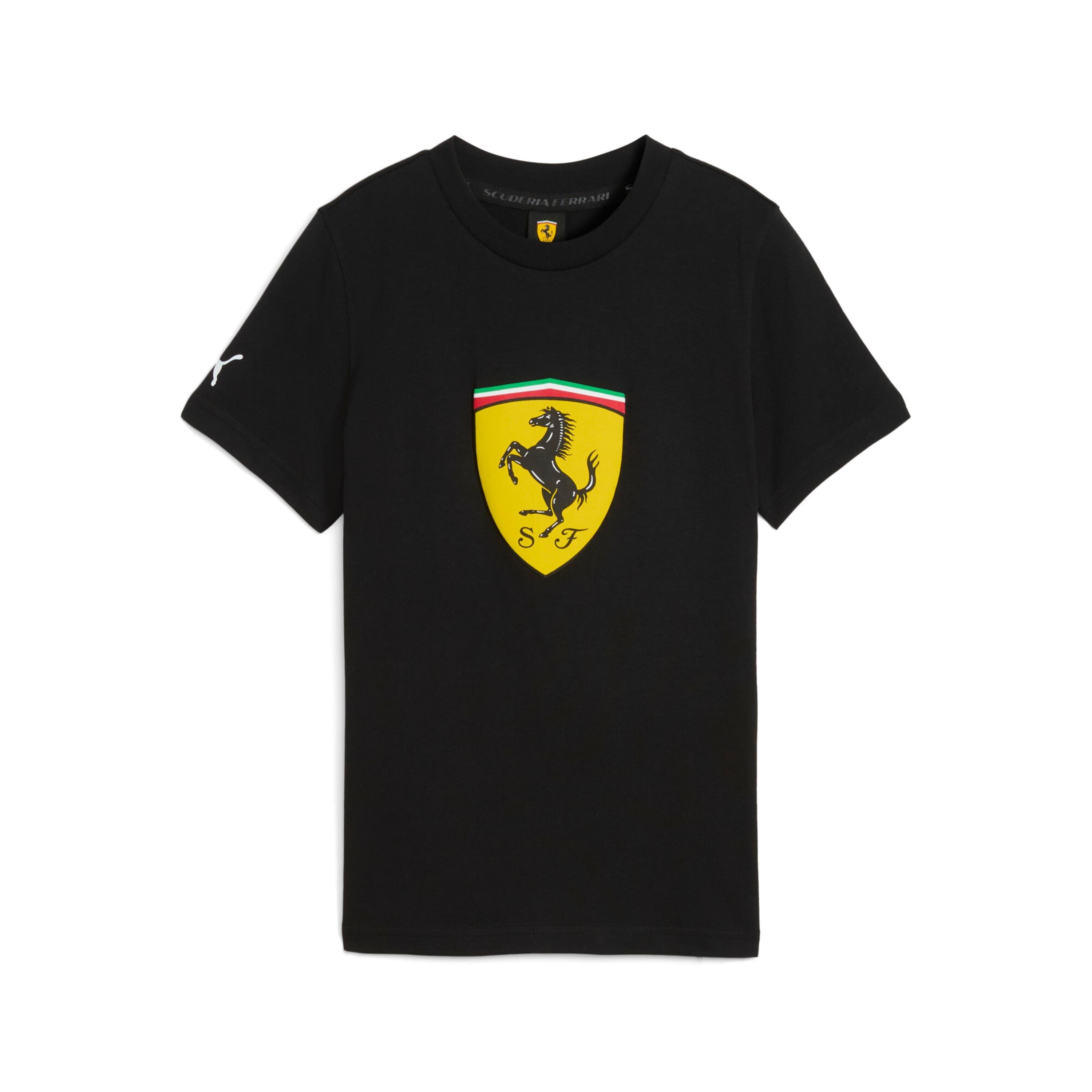 PUMA picture