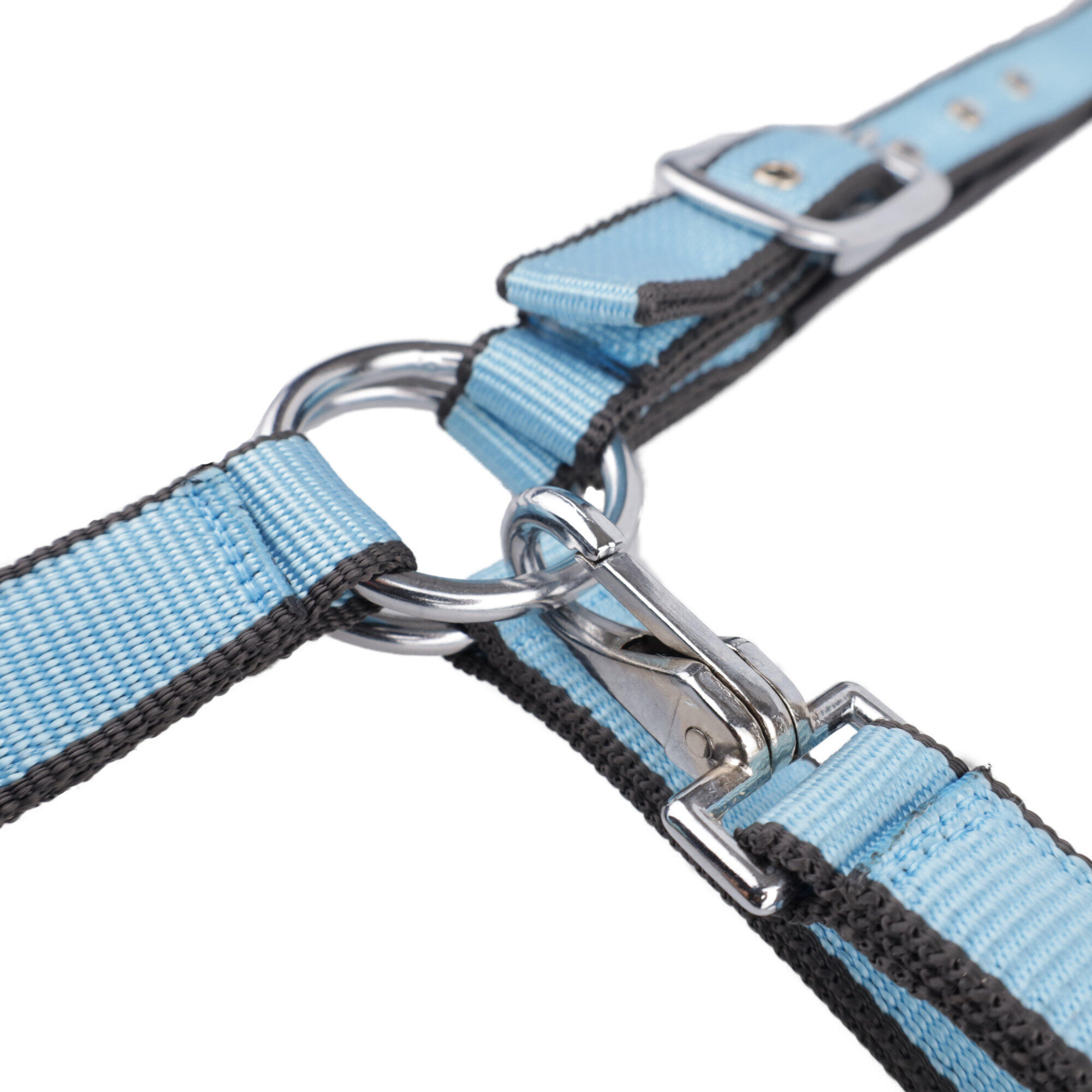 Licol rembourré pour cheval USG Everyday 4/4