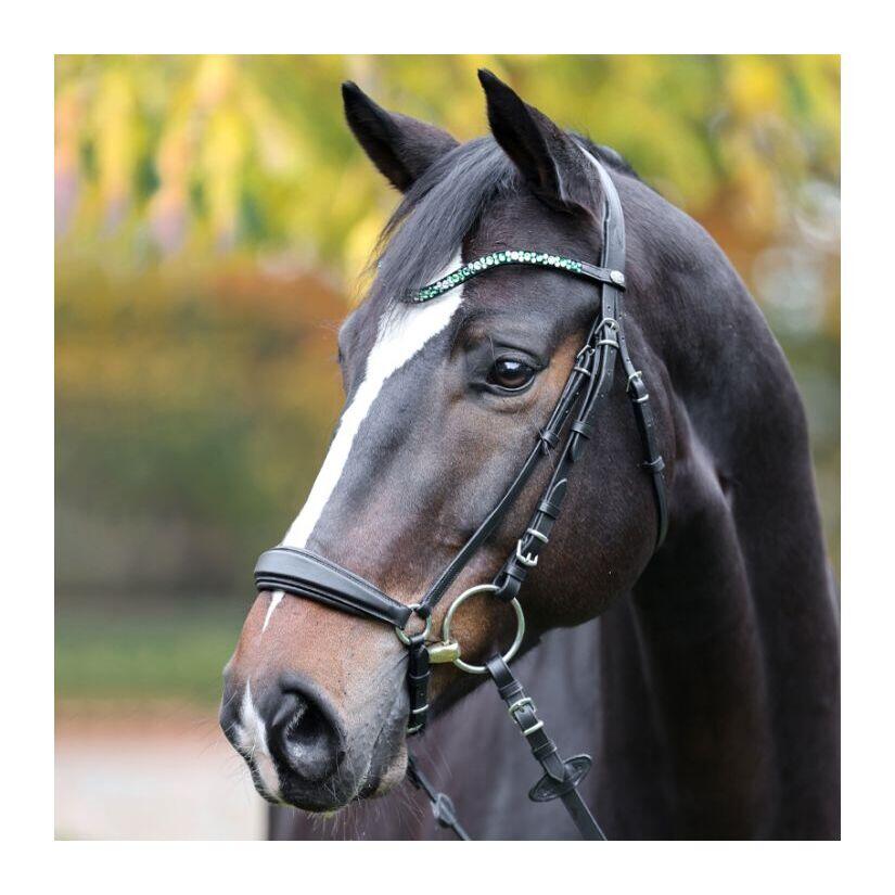 Frontale Kavalkade Sparkle 2/4