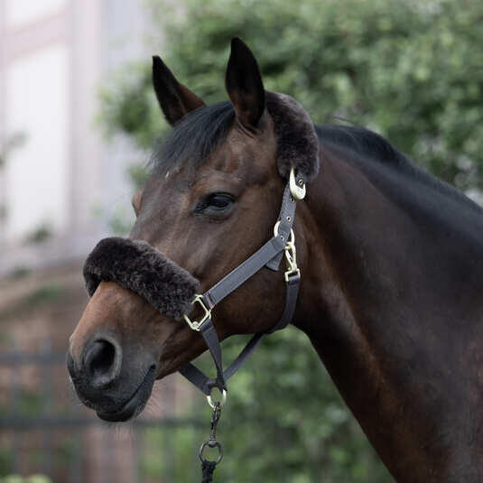 Licol pour cheval avec peau de mouton B Vertigo Laurier 2/4
