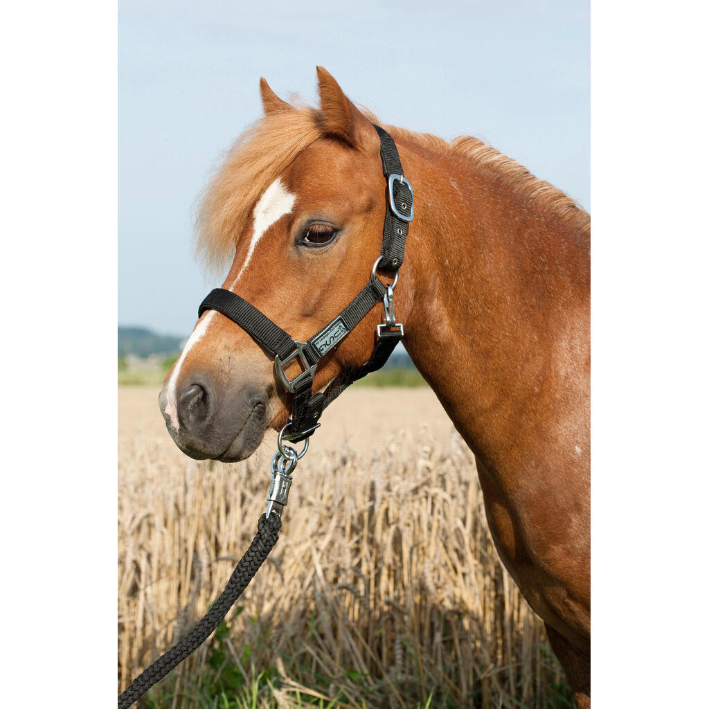 Licol rembourré pour cheval USG Everyday 2/2