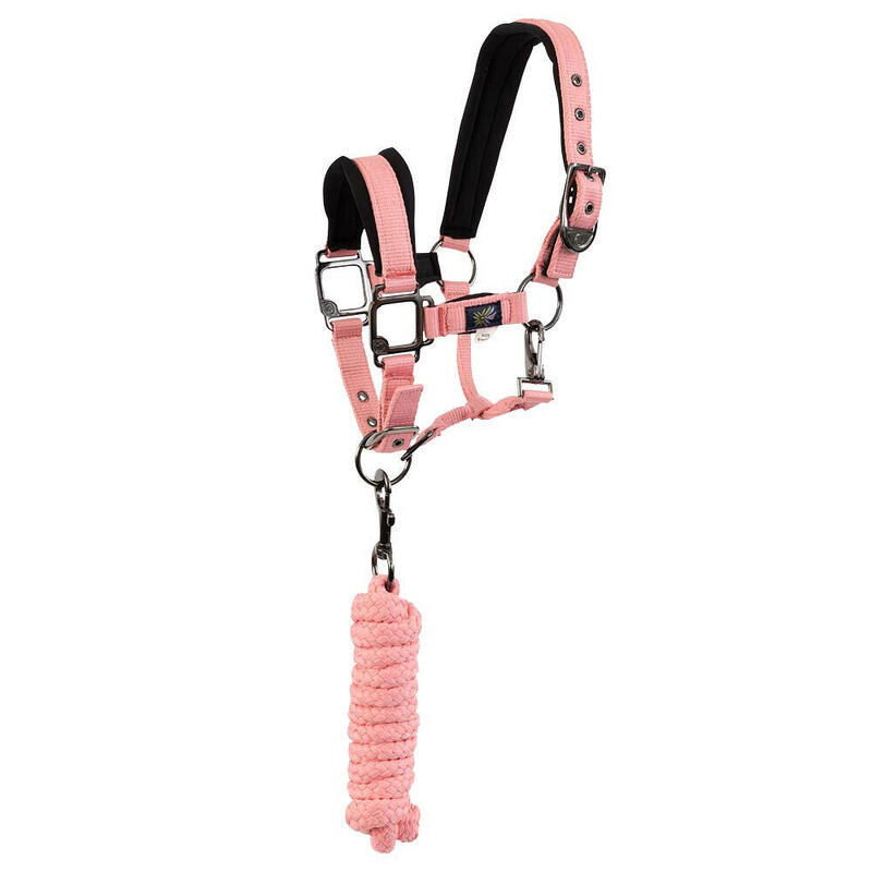 Longe Pour Licol Covalliero – Vert Olive – Nylon – Équitation – Neuf