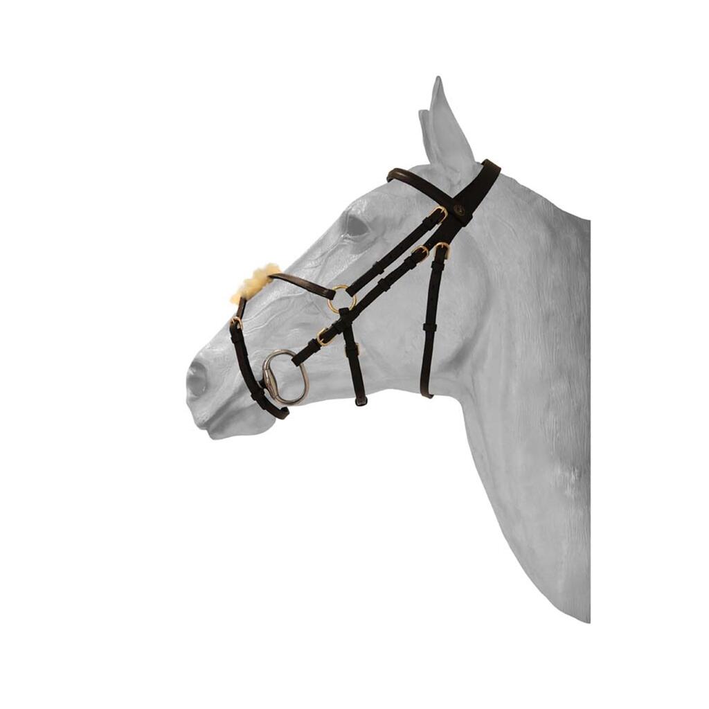 Anatomical Mexican double-breasted snaffle bridle HFI