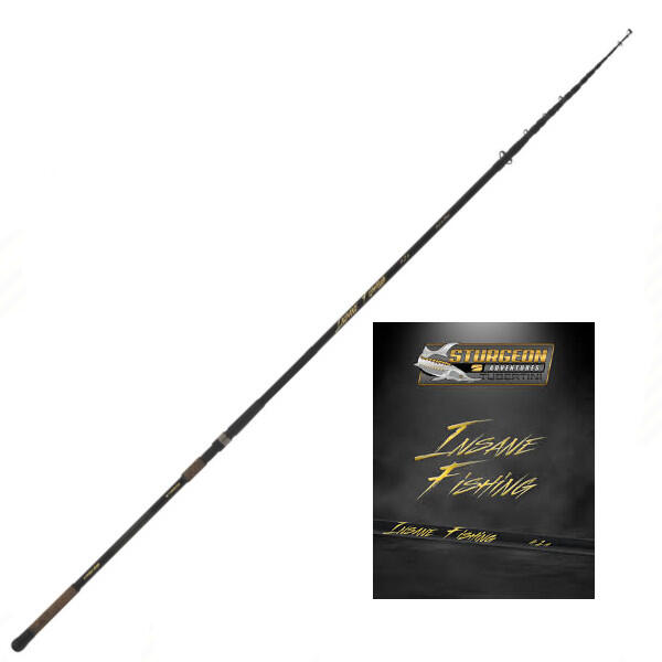 Canna pesca storione Insane Fishing 4.20mt 3/3
