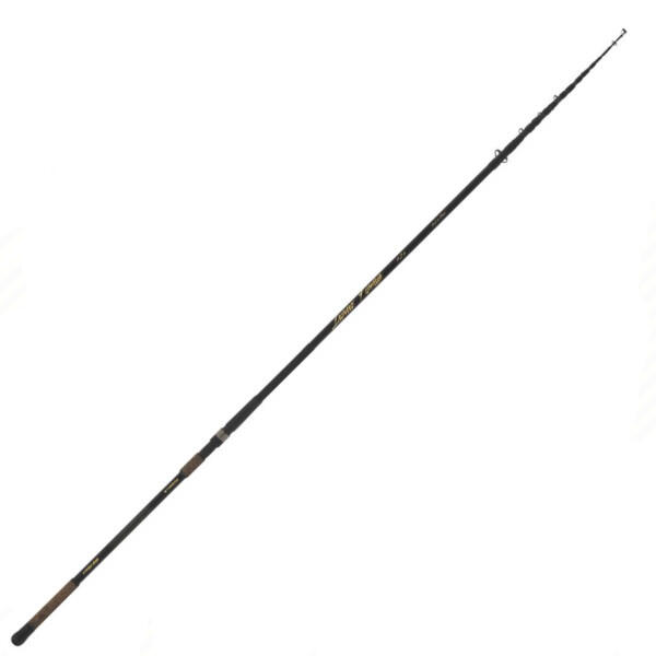 Canna pesca storione Insane Fishing 4.20mt 2/3