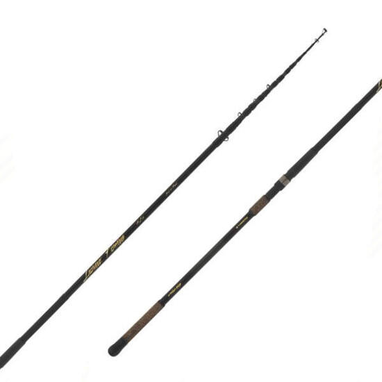 Canna pesca storione Insane Fishing 4.20mt
