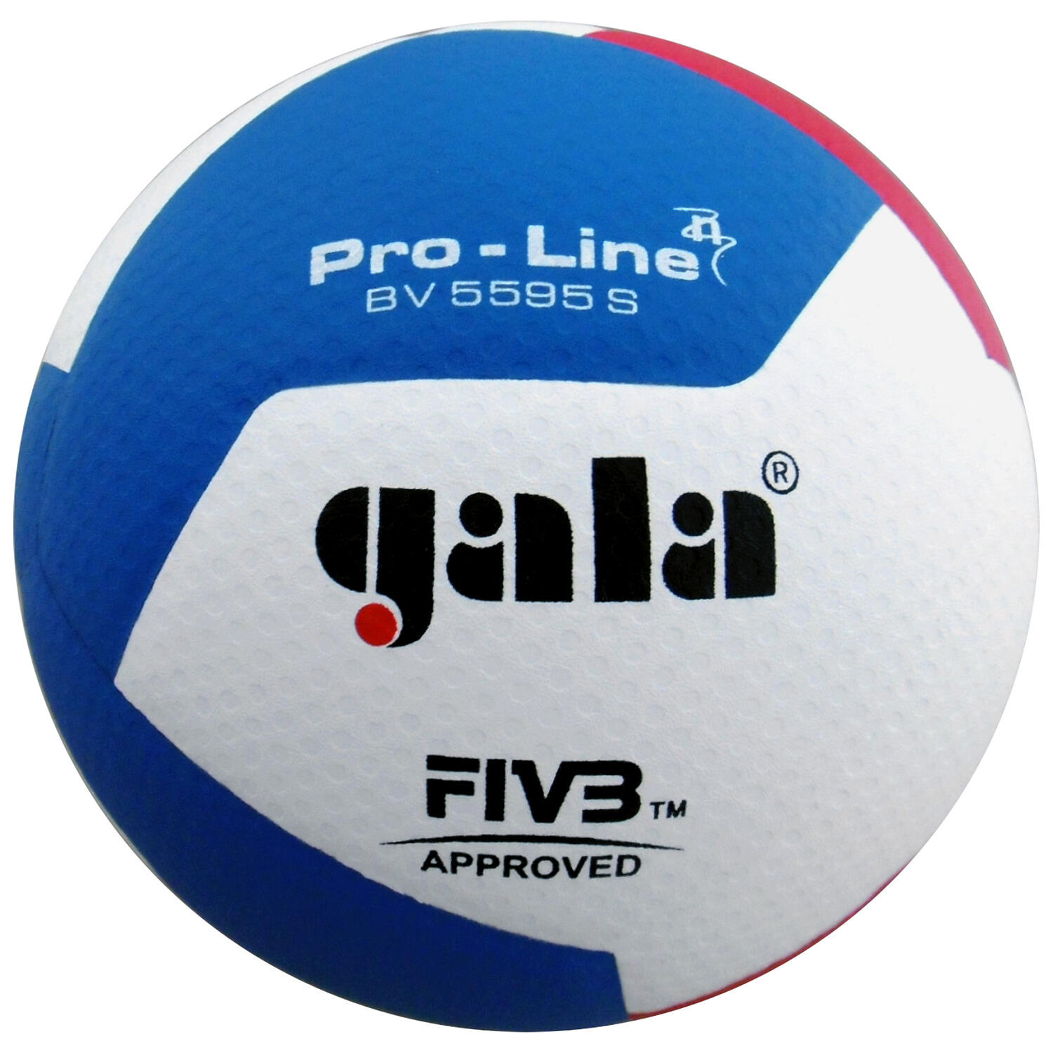GALA Volejbalový míč GALA PRO-LINE BV5595S HANDSHAKE