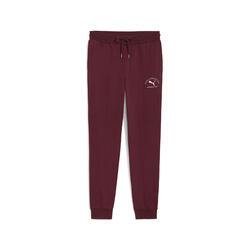 Pantalon de survêtement PUMA Class Hommes PUMA