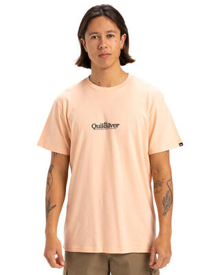 T-shirt met korte mouw fineline rosa heren