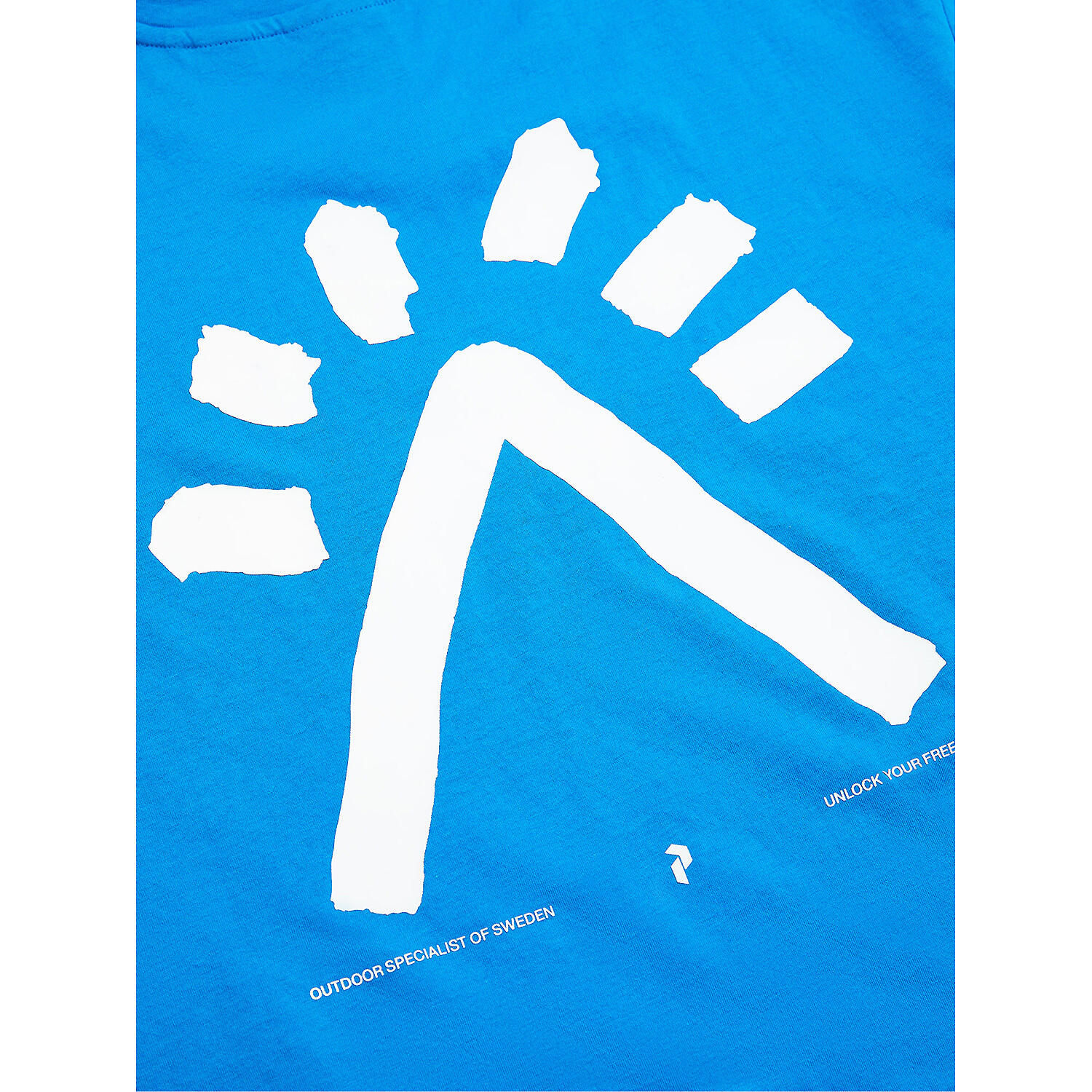 Koszulka Peak Performance męska Explore Graphic Tee niebieska - L 4/6