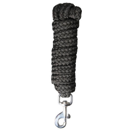 Longe Reiten Karlslund Atli