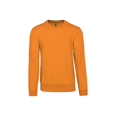 Sweater met ronde hals kariban