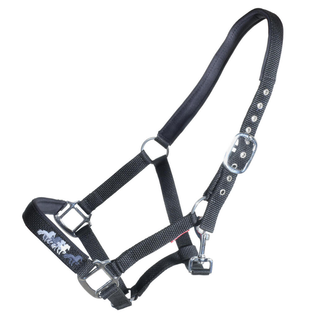 Halter for horse Karlslund