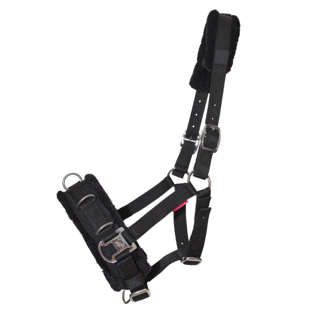 Nylon horse halter Karlslund Kapsun