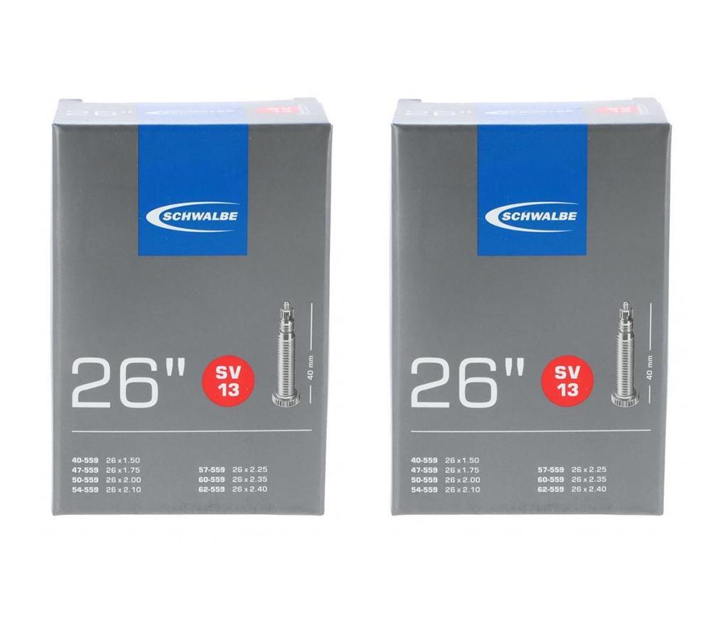 SCHWALBE picture