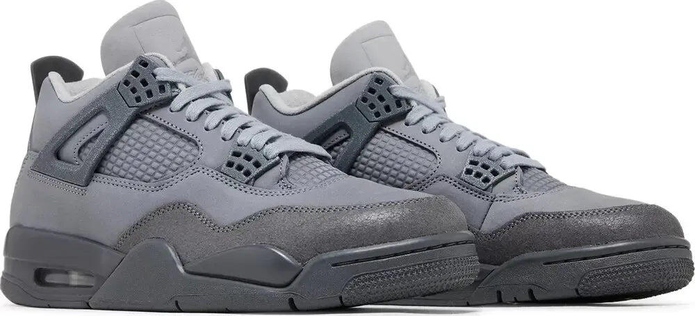 Air Jordan 4 Paris Olympics 3/5