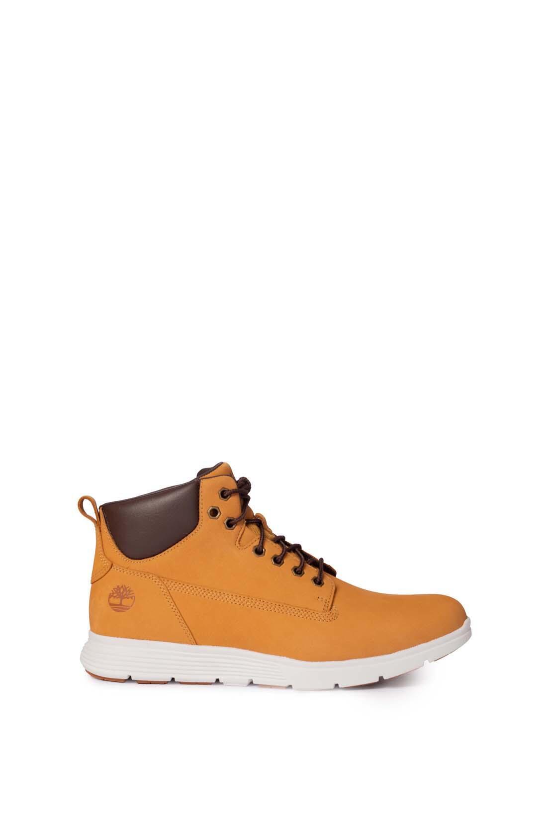 TIMBERLAND picture