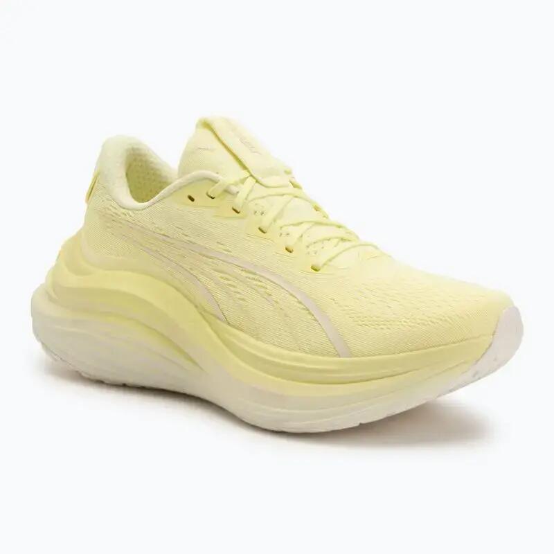 PUMA picture