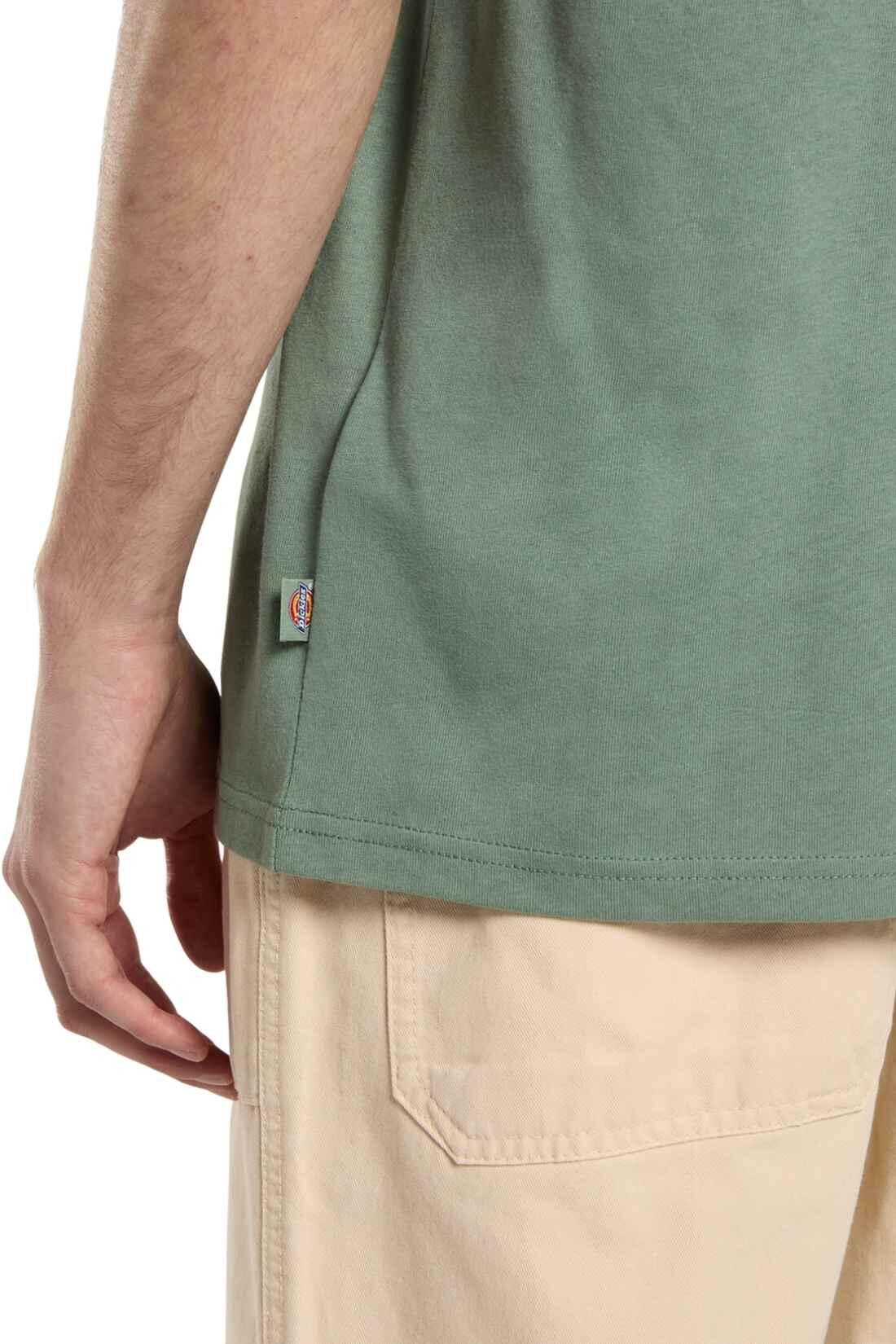Camiseta de manga corta Dickies modelo DK0A4YAIL191 para hombre 4/5