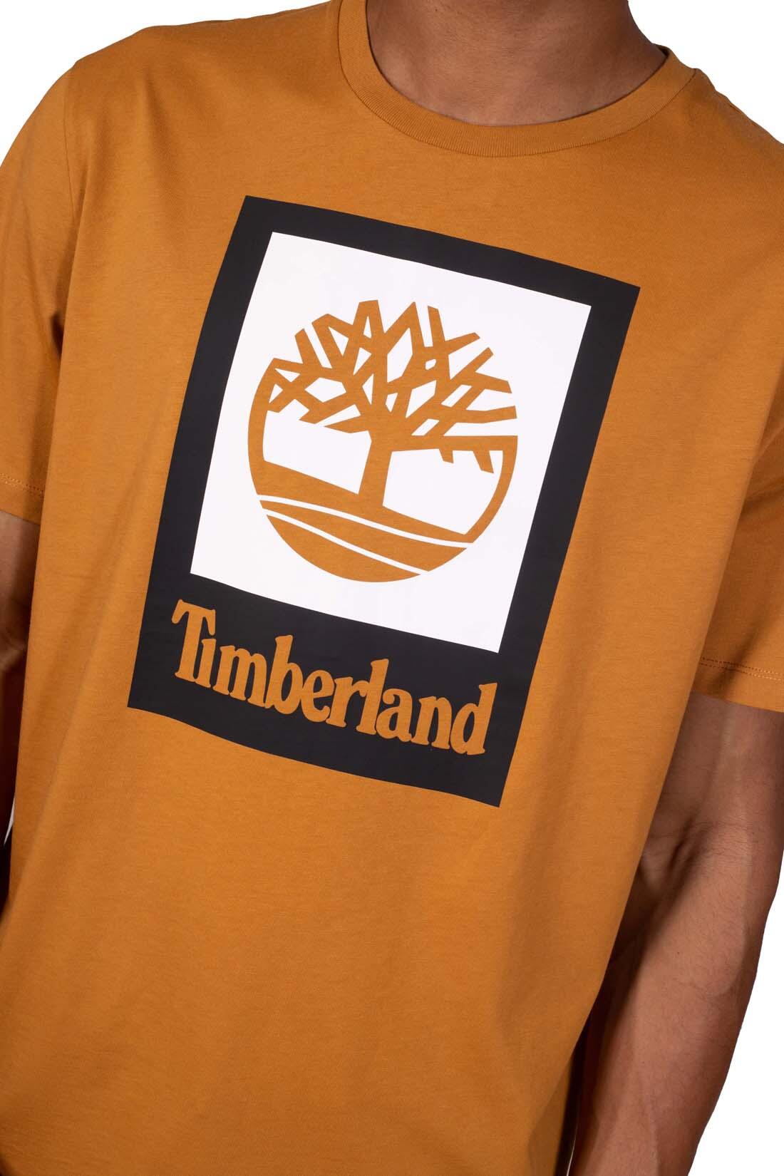 T-shirt uomo con logo box 5/5