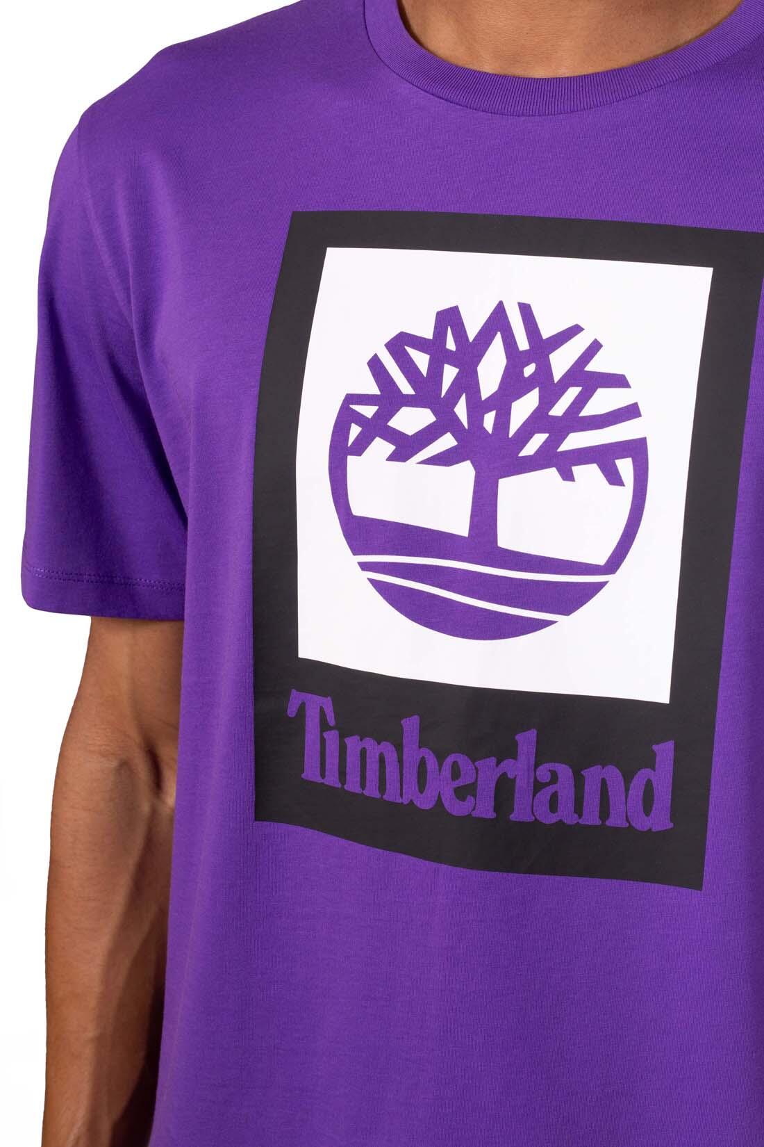 T-shirt uomo con logo box 5/5