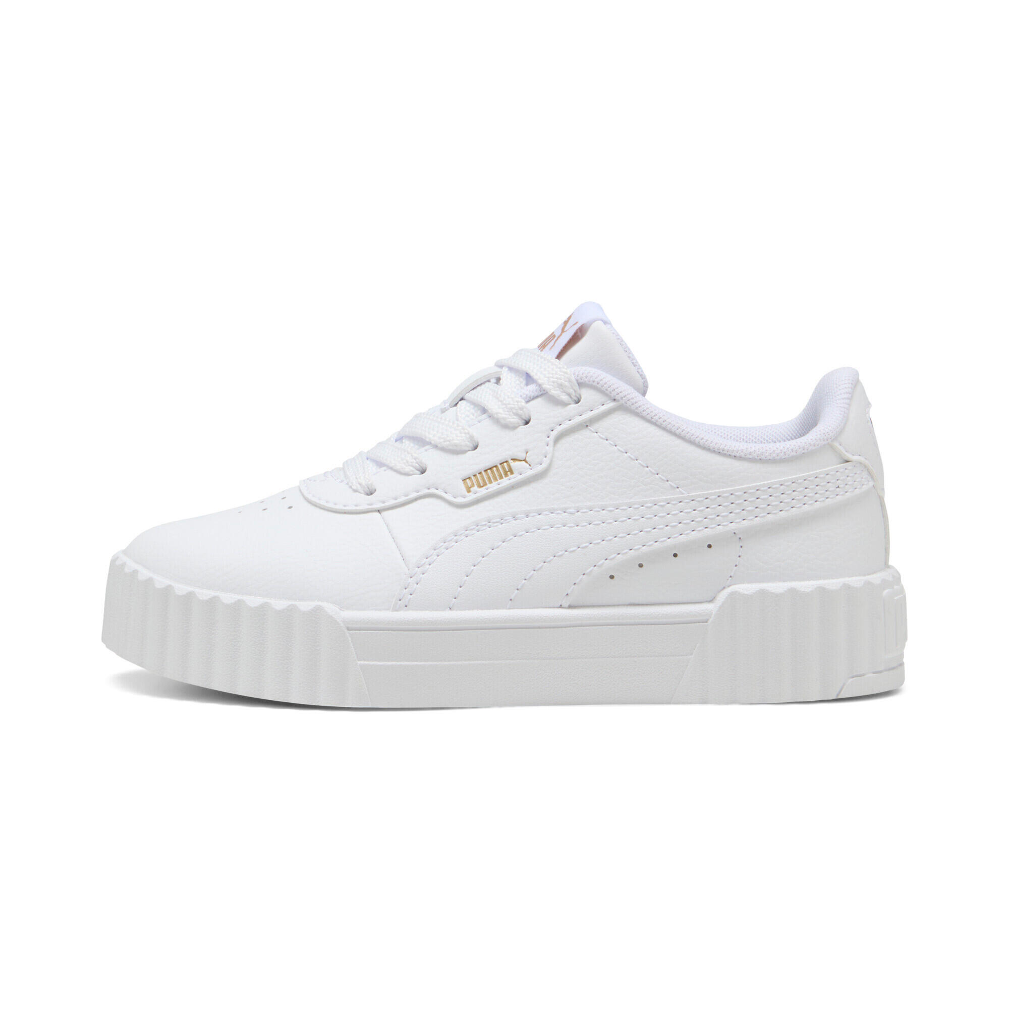 PUMA picture